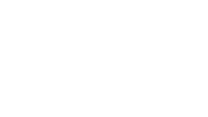 Diamond Naturals Skin & Coat Formula