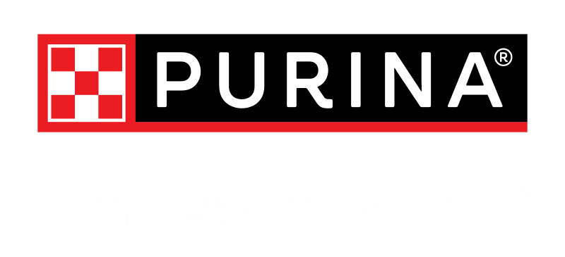 Purina Pro Plan Sensitive Skin & Stomach Salmon & Rice