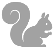 Squirrel Ultimate Student College Planner