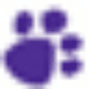 Wellness CORE Digestive Health Dry Dog Food